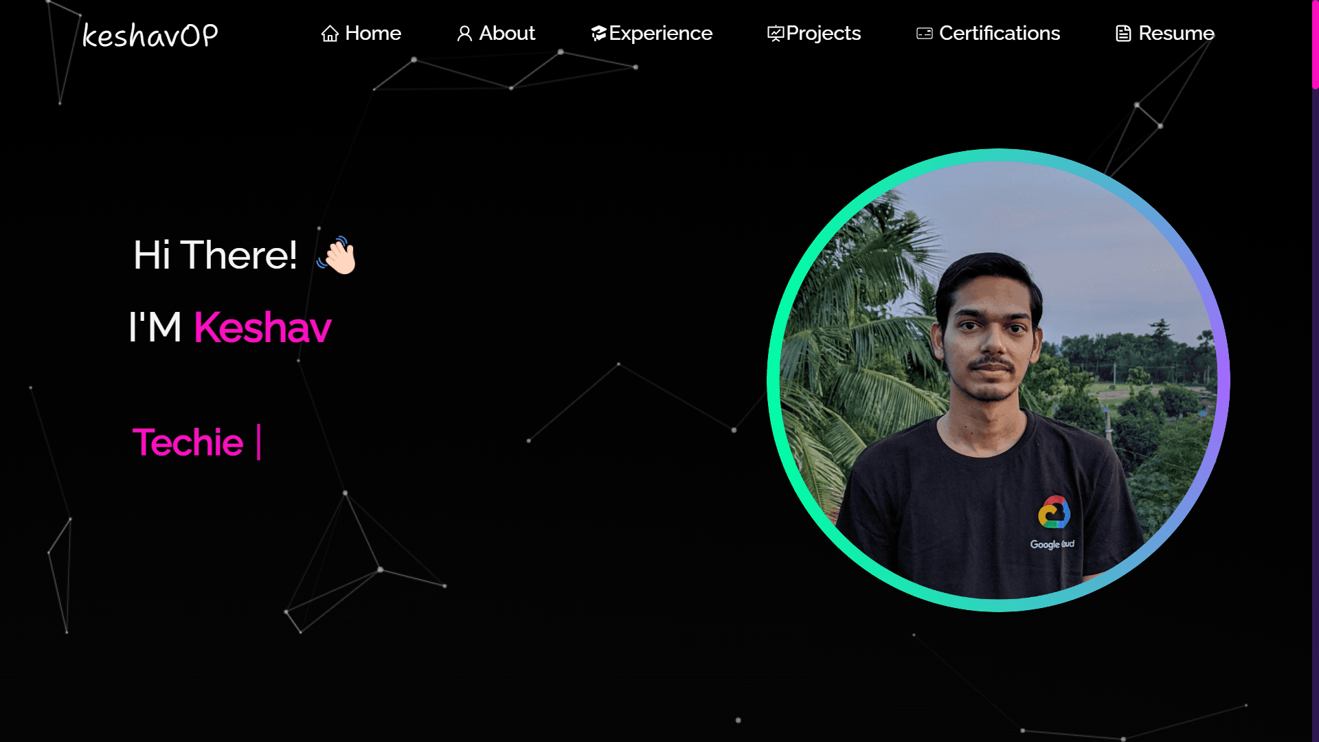Portfolio V 1.0 interface